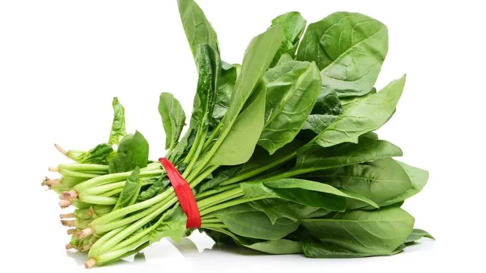 What are the benefits of baby spinach?
