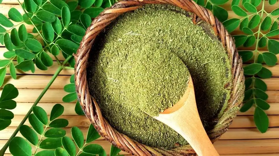 Moringa Powder Benefits: A Superfood for Your Health