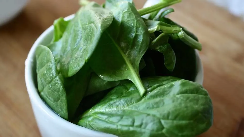 Unveiling Nutritional Wonders: What Do Spinach Leaves Contain?