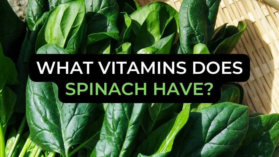 What vitamins does spinach have? Life2Fitness