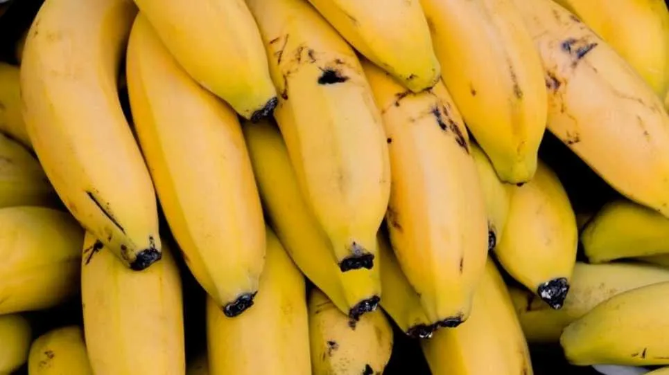 Truco del plátano para bajar de peso: ¿funciona?